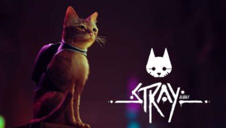 Stray: Kediler ve Siberpunk Dünya