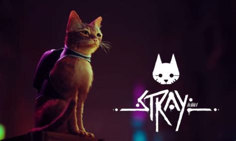 Stray: Kediler ve Siberpunk Dünya